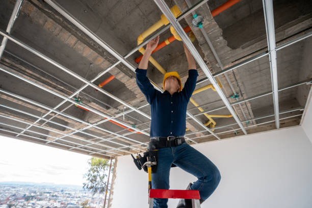 Best Clogged Drain Plumber  in Neshanic Station, NJ
